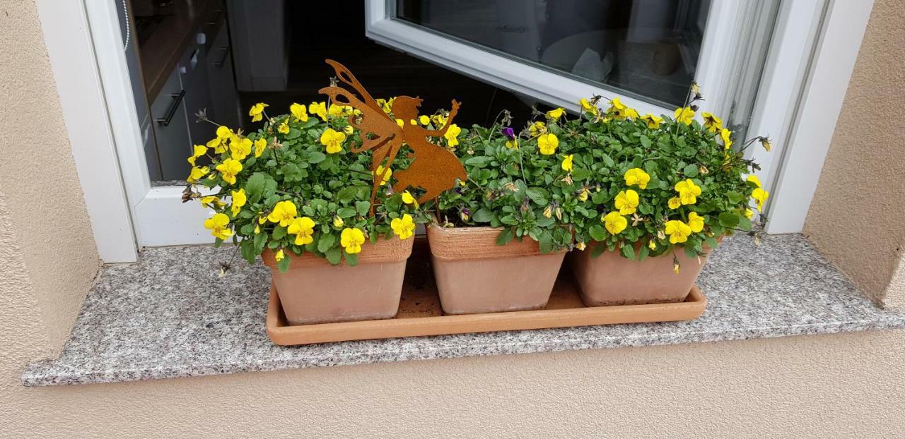 Apartmani Tuheljske Tuheljske Toplice Exterior foto